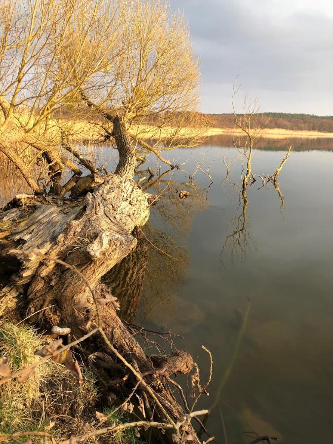 Hotel Zwischen Den Seen Waren  Esterno foto